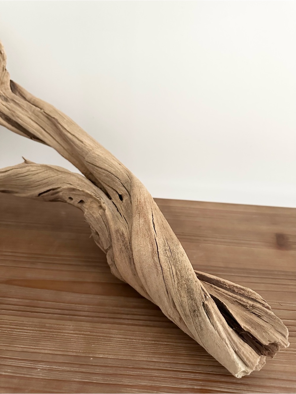 Large Natural Driftwood Branch - Coastal Beach Decor - Picture 5 of 17